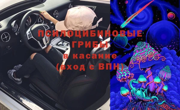 спиды Няндома