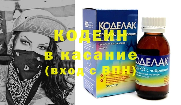 индика Новозыбков