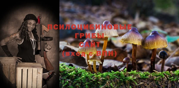 мескалин Нязепетровск